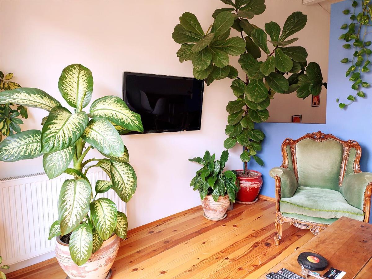 Kunterbunt Istanbul Apartman Kültér fotó