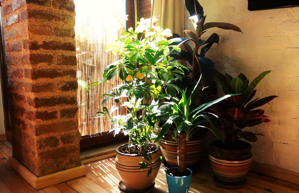 Kunterbunt Istanbul Apartman Kültér fotó